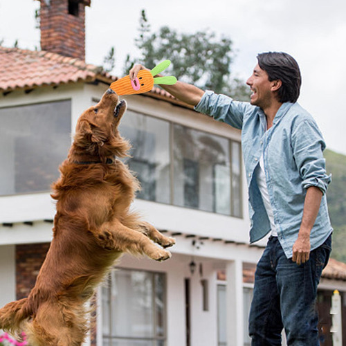 Juguete De Trato De Zanahoria Para Perro Juguete Para Perro