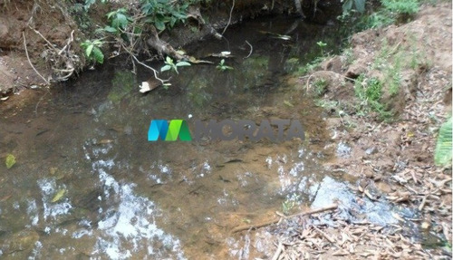 Imagem 7 de 15 de Fazenda - Zona Rural - Ref: 4350 - V-mta4350