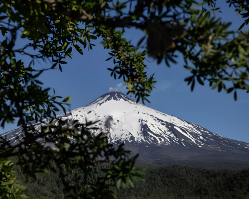 Parcelas En Venta Proyecto Gran Roble Pucón