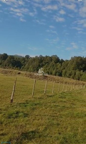 Imagen 18 de 23 de Agrícola En Venta En Puerto Montt