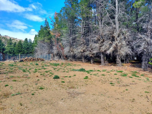 Imagen 10 de 12 de Terreno Lote En Venta Ubicado En Dina Huapi, Bariloche, Patagonia