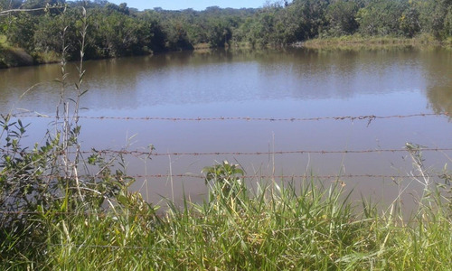 Fazenda A Venda 117 Hectares Com Granja Centro-oeste De Mg - 14532