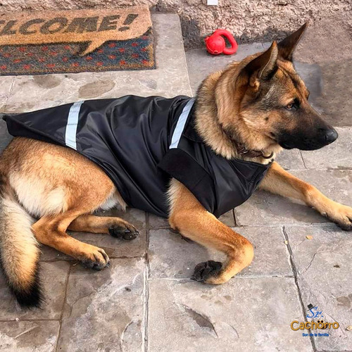 Parka Térmica Para Perros Grandes. Sr Cachorro