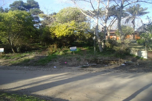 Imagen 4 de 5 de Excelentes Lotes Multifamiliares- 462mts C/u- Todos Los Servicios. Se Venden En Block O Individual , Oportunidad Nuevo Valor De Venta