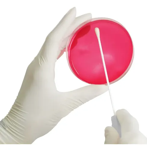 Swab Estéril Ponta Rayon C/ Meio Stuart 10 | MercadoLivre