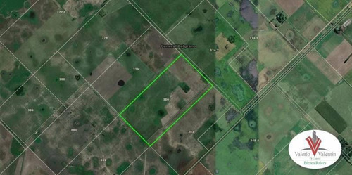 Imagen 12 de 12 de Se Vende - Excelente Campo 84 Has. Mixtas - General Belgrano
