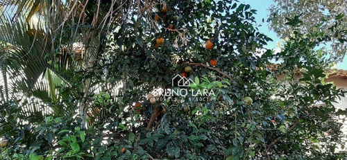 Imagem 21 de 29 de Sítio À Venda, 1056 M² Por R$ 750.000,00 - Vivendas Santa Mônica - Igarapé/mg - Si0028