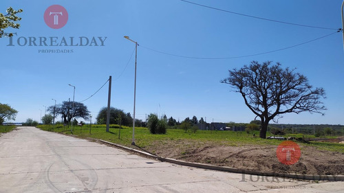 Terreno - Parana