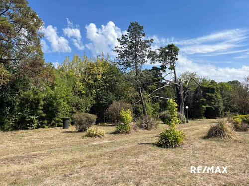 Imagen 6 de 30 de Alquiler Quinta De 5477 Mts S/ruta 8 - Pilar -