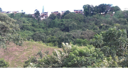 Imagen 19 de 30 de Cerca Del Cc Daymar Guatire 04143184932