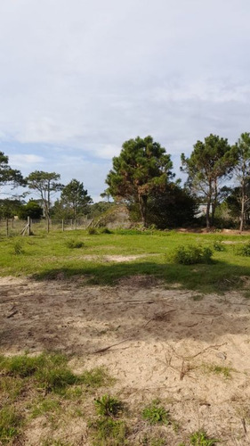 Terrenos En Punta Del Diablo, Zona Avenida Central, Bosque.