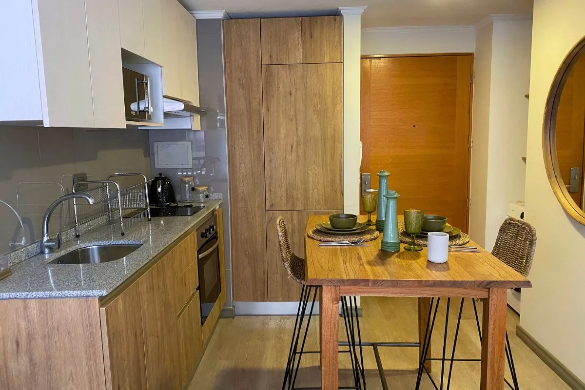 Imagen 3 de 20 de Arriendo De Departamento En Santiago. 1 Dormitorio, 1 Baño.
