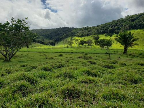 Imagem 3 de 15 de Fazenda Para Venda Em Canhotinho, Zona Rural - In - 0010_1-2014430