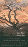 Jane Eyre (libro Original)