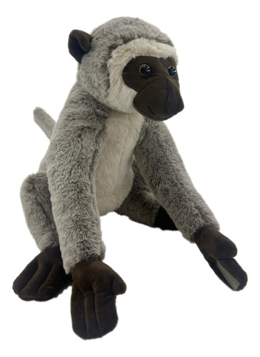 Peluche Macaco Realista Sr.coati Totem Animal Espiritual