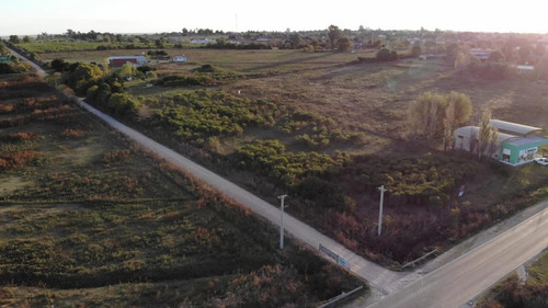 Imagen 5 de 7 de Terrenos En Venta En Victoria Entre Rios
