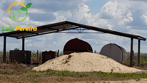 Imagem 10 de 15 de Fazenda À Venda Em Divinópolis - To - De 1.476 Hectares - 1747