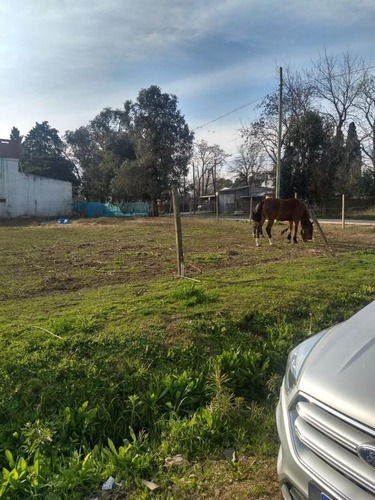 Imagen 2 de 7 de Terrenos En Venta Barrio San Jacinto