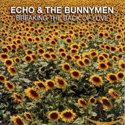 ECHO & THE BUNNYMEN - Breaking The Back Of Love- cd 2008 producido por Great American Music