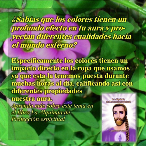 Imagen 3 de 5 de La Alquimia De Protección Espiritual