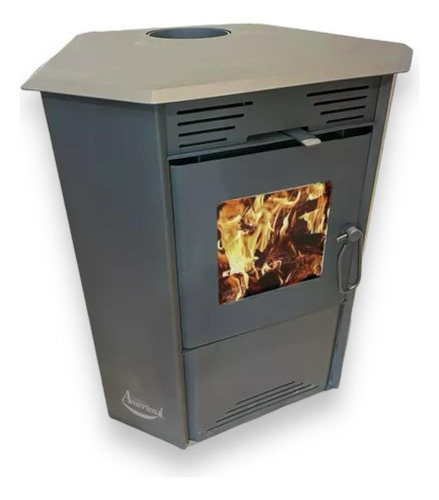Calefactor Ecológico Doble Combustión Esquinero 790gf 