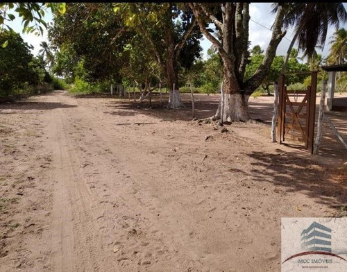 Imagem 15 de 20 de Granja Mobiliada A Venda Lagoa Do Bonfim