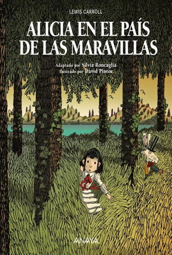 Libro Alicia En El Pais De Las Maravillas - Carroll, Lewis