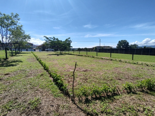 Imagen 4 de 12 de Venta De Lotes En Pérez Zeledón, Calle Foster, Los Chiles