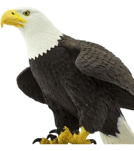 Figura Detallada Águila Calva Safari Ltd