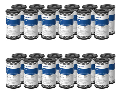 Pentair Pentek C2 Carbon Water Filter, 5-inch, Under Sink Du