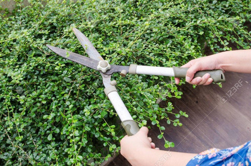 Tijera Podar Corta Cerco Jardin Con Mango De Madera Oferta