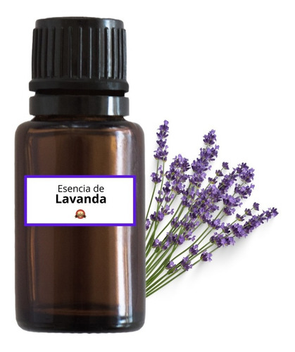 Esencia De Lavanda 100ml - Para Uso Cosmético