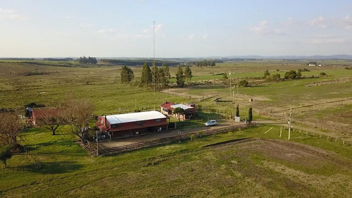 Venta Campo En Uruguay 60 Hectareas Departamento Lavalleja 