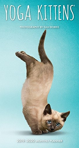 Yoga Kittens 2019 35 X 65 Inch Two Year Monthly Pocket Plann