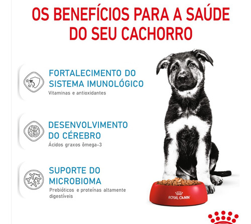 Ração Royal Canin Maxi Puppy Cães Filhotes 12kg