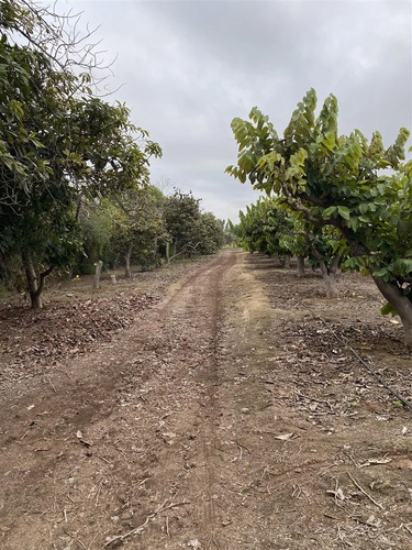 Sitio En Venta En La Serena, Alfalfares Oriente