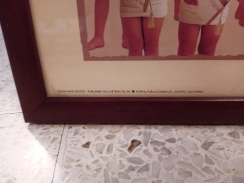 Cuadro De Anne Gueddes (Usado)