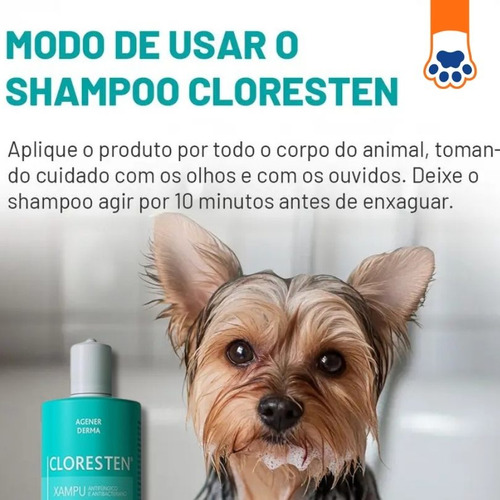 Kit Cloresten Shampoo 500ml + Hidrapet Creme 500g Cães Gatos
