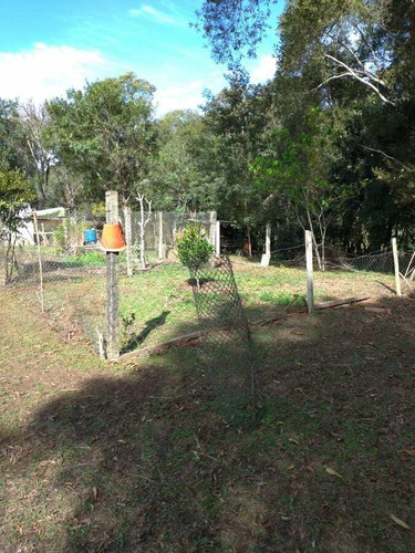 Imagem 1 de 15 de Sítio / Chácara Para Venda Em São José Dos Pinhais, Campo Largo Da Roseira, 3 Dormitórios, 1 Banheiro - 106_2-1239671