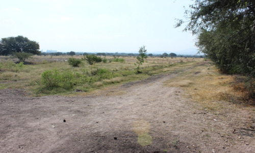 Terreno En Venta En Pedro Escobedo