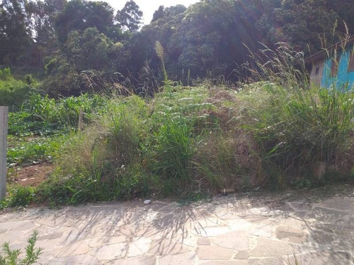 Imagem 1 de 3 de Terreno - Centenario - Ref: 5200 - V-5200