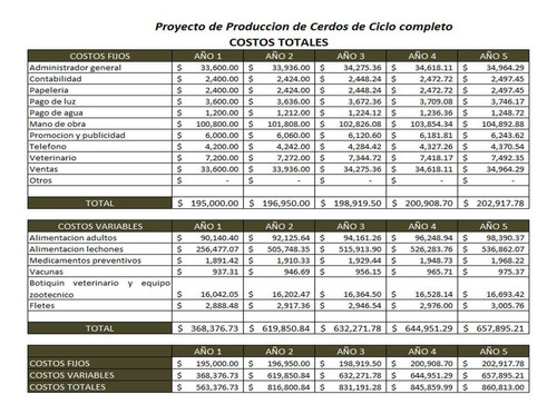 Corrida Financiera : Cría Y Engorda Cerdos Rentable