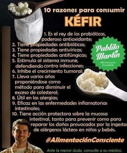 Imagen 3 de 4 de Kefir (hongos Bulgaros Para Hacer Yogurt Casero)