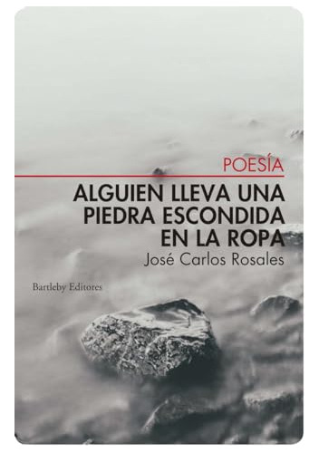 Alguien Lleva Una Piedra Escondida En La Ropa - Rosales Jose