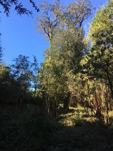 Excelente Oportunidad Para Invertir En Lago Maihue
