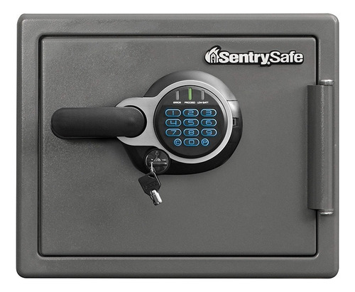 Caja fuerte SentrySafe SFW082GTC color gris