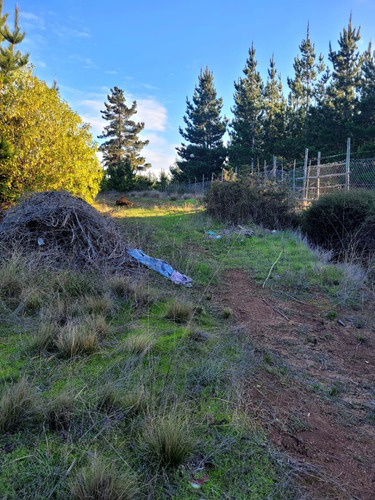 Terreno Ubicado A Menos De Un Kilometro De Algarrobo Centro
