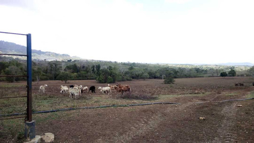 Imagen 10 de 30 de Finca En Mirimire Estado Falcon De 941 Hectáreas