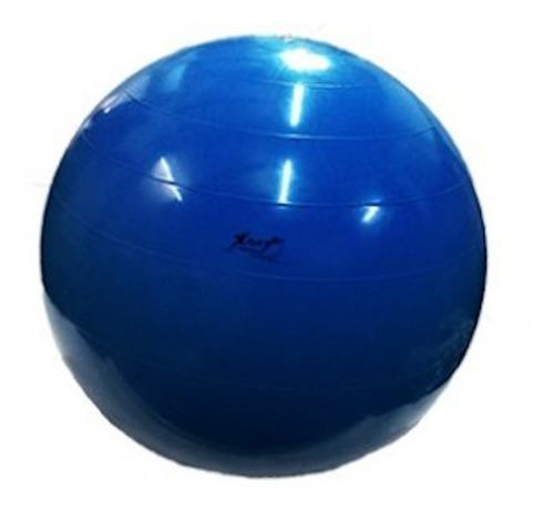 Imagen 3 de 5 de Gym Ball. Pelota De Fitness 55 Cm. 1000gr Fitness
