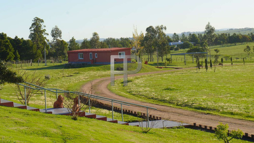 Imagen 2 de 18 de Chacra En Venta Abra De Perdomo 3 Dormitorios, 5.8 Hectáreas
